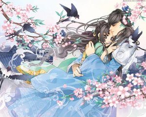 四叶草研究所在线免费
